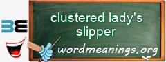 WordMeaning blackboard for clustered lady's slipper